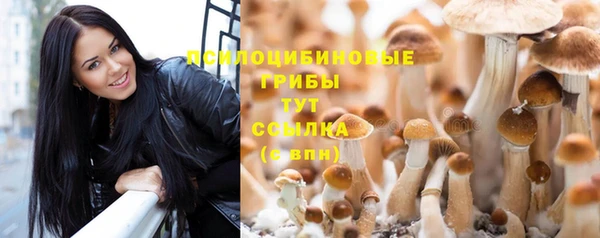 ешки Магас