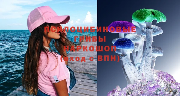 ешки Магас