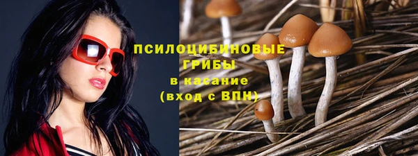прущие крисы Майский