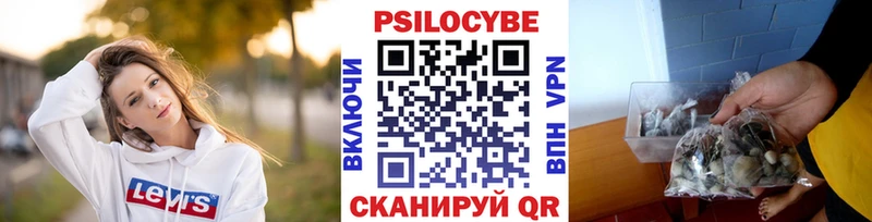как найти закладки  блэк спрут ТОР  Галлюциногенные грибы Psilocybine cubensis  Струнино 